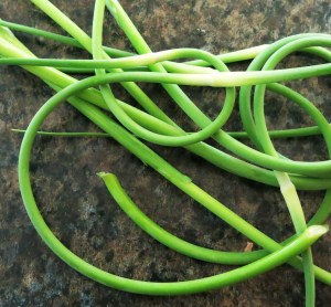Garlic Scapes