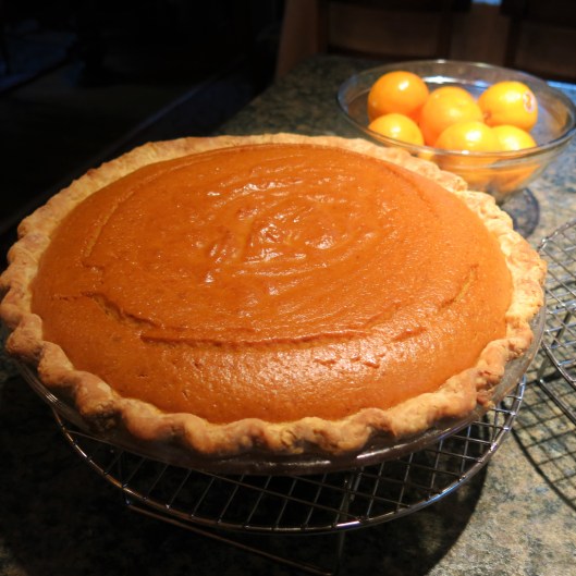 Spicy Pumpkin Pie