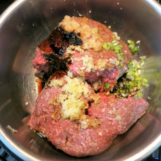 The Teriyaki Burger Meat Mixture