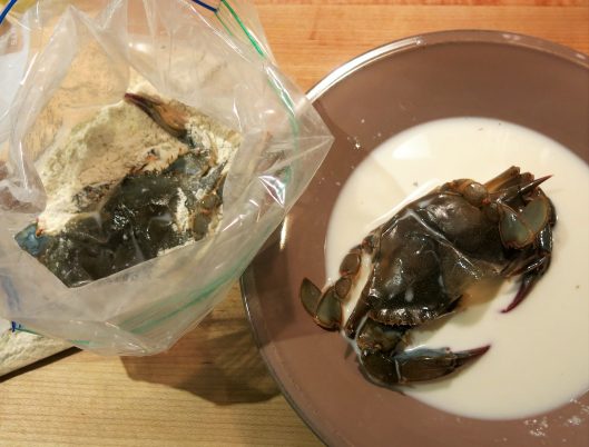 Soft-Shelled Crabs Being Breaded