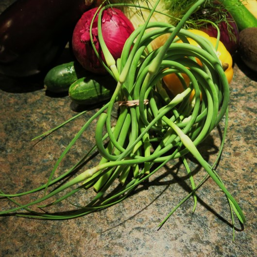 Garlic Scapes