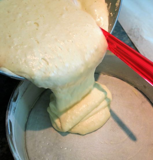 Pour the Sponge Cake batter into the pan.