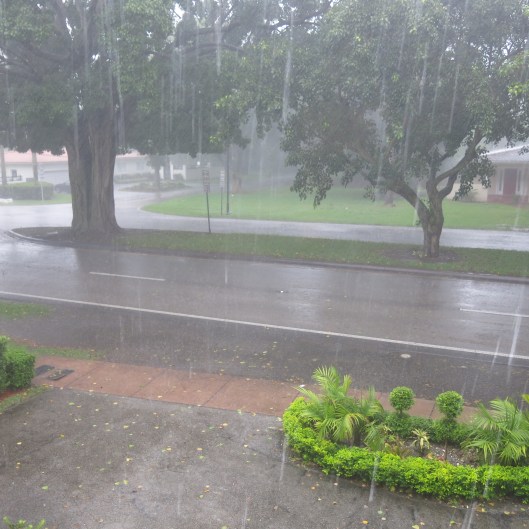 Florida Rain