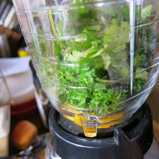 Parsley-Cilantro-Orange Chimichurri