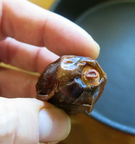 Medjool Date, Stem End Attached