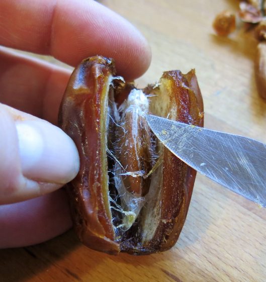 Medjool Date, Removing the Pit