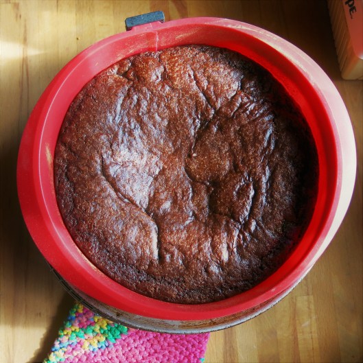 One Layer Chocolate-Cherry Cake