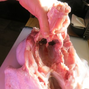 Spatchcocking the Turkey