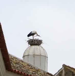 Storks on a Chimney