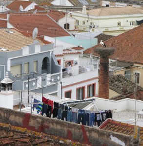 Storks on a Chimney