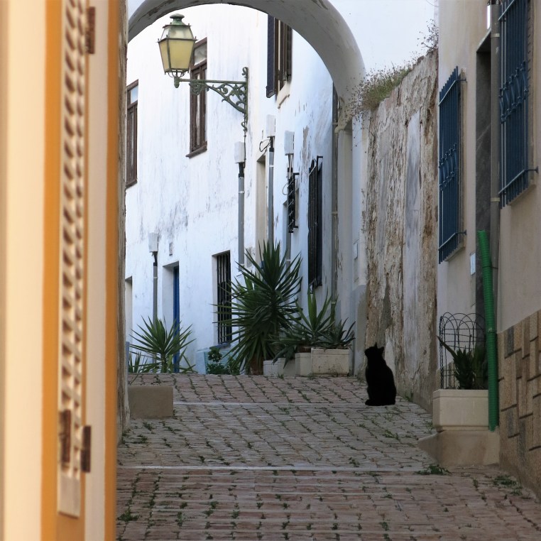 Alleyway in Albufeira - Algarve