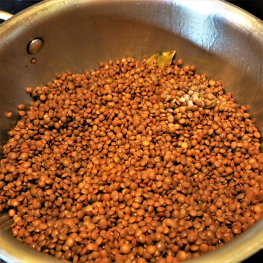 Cooked Lentils