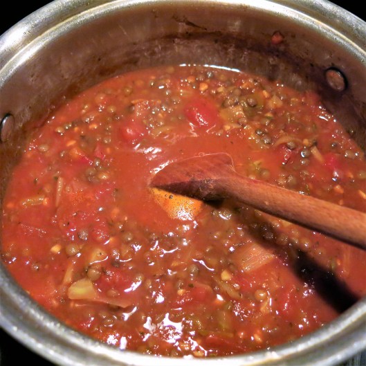 Tomato-Leek & Fennel Soup with Lentils