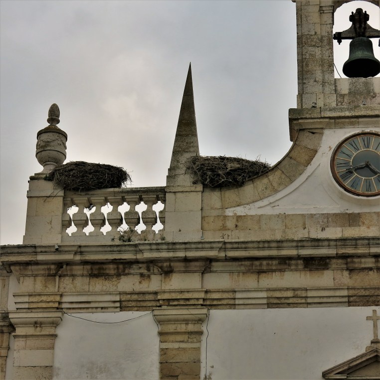 Storks on the Arco da Vila, Faro