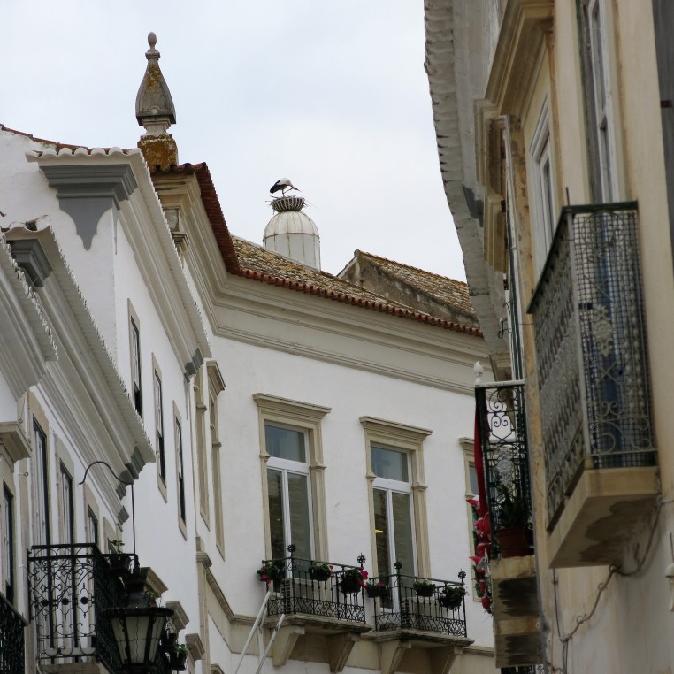 Faro, Portugal - Stork on a Chimney