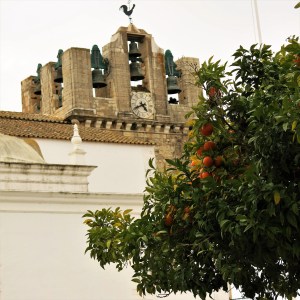 Cathedral of Faro and Bell Tower with Orange Tree