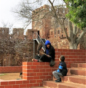Austringer with a Harris's Hawk - Silves Castle