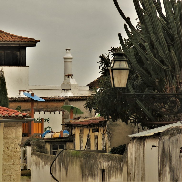 The Chimneys of Portugal