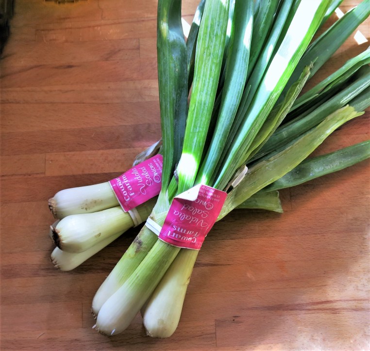 Spring Onions