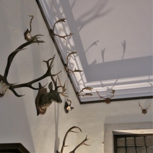 Trophy Room - Palácio de Mafra