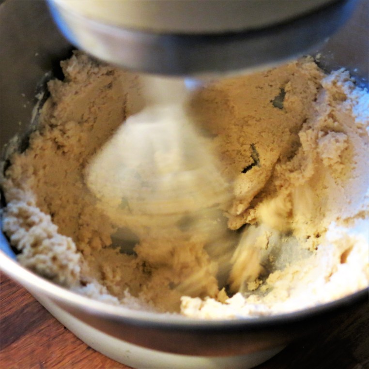 Chewy Chocolate Chip-Coconut Bars