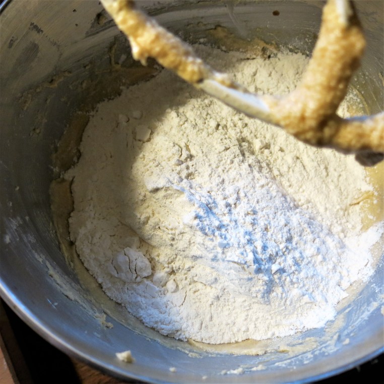 Chewy Chocolate Chip-Coconut Bars