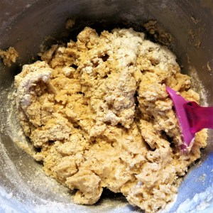 Chewy Chocolate Chip-Coconut Bars