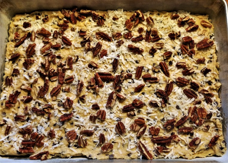 Chewy Chocolate Chip-Coconut Bars