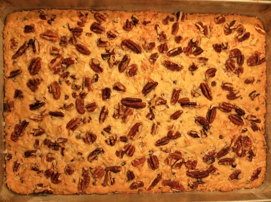 Chewy Chocolate Chip-Coconut Bars