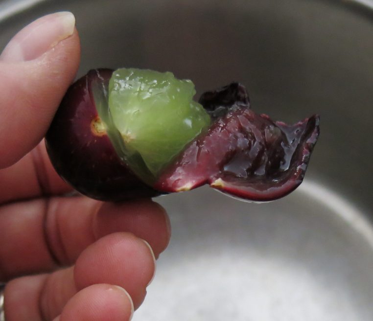 Muscadine Grape Preserves