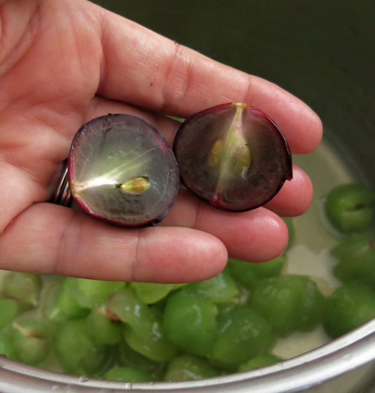 Muscadine Grape Preserves