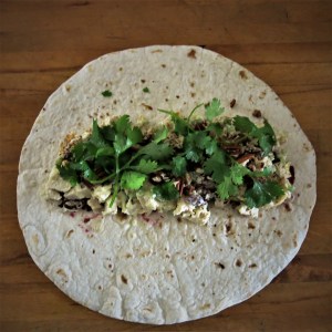 Hint-of-Curry Chicken Salad with Cilantro and Toasted Pecans